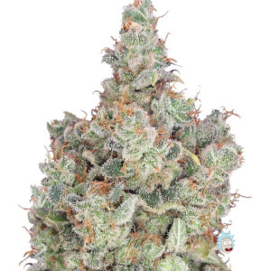Total Paralysis fem (Heavyweight Seeds)