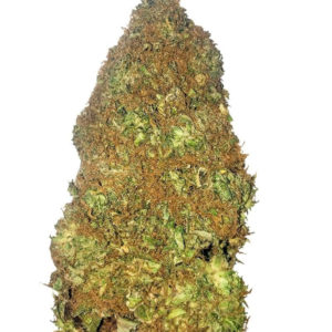 Jackpot Auto fem (Heavyweight Seeds)
