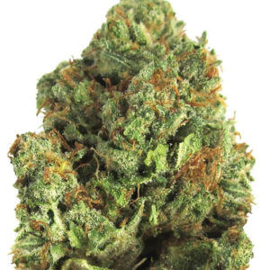Midnight Mass fem (Heavyweight Seeds)