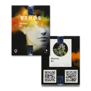 Shawty R1 fem (Ethos Genetics) семена конопли