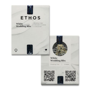White Wedding RBX fem (Ethos Genetics) семена конопли